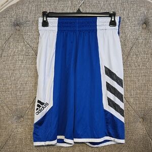Adidas Men's Small Blue and White Athletic Shorts
